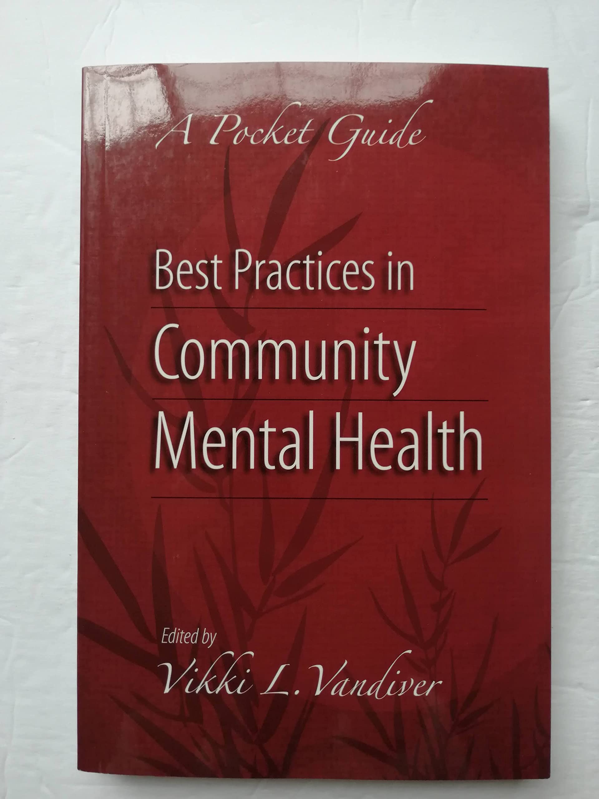 Best Practices in Community Mental Health: A Pocket Guide,Used