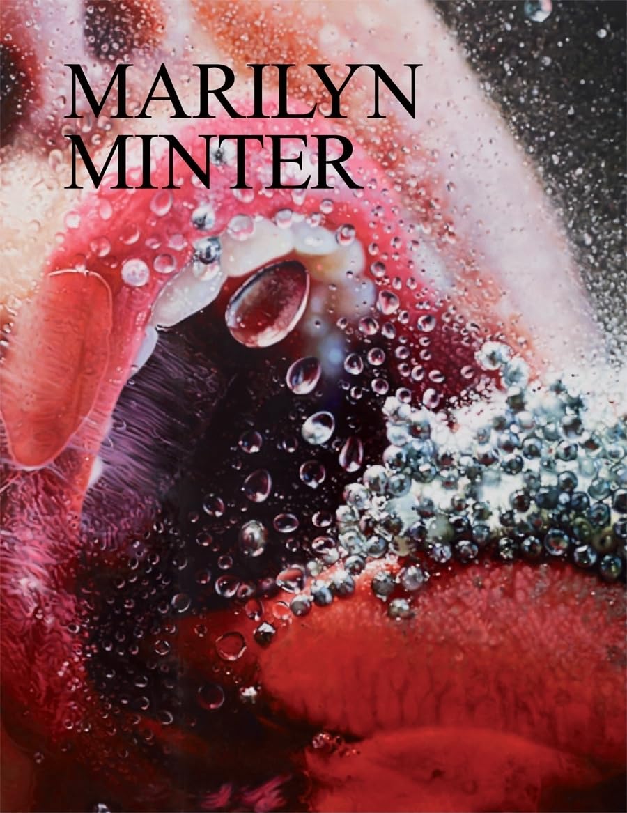 Marilyn Minter,Used