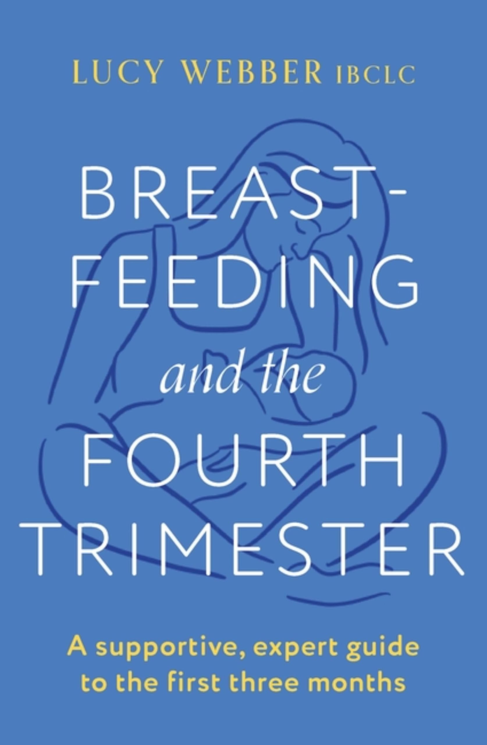 Breastfeeding And The Fourth Trimester,Used