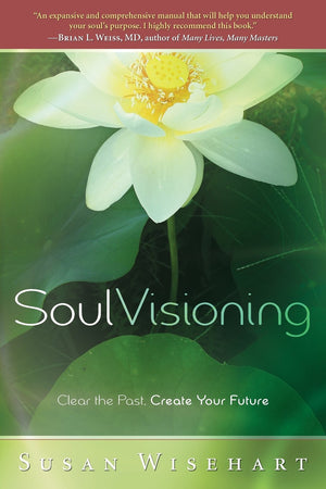 Soul Visioning: Clear the Past, Create Your Future,Used