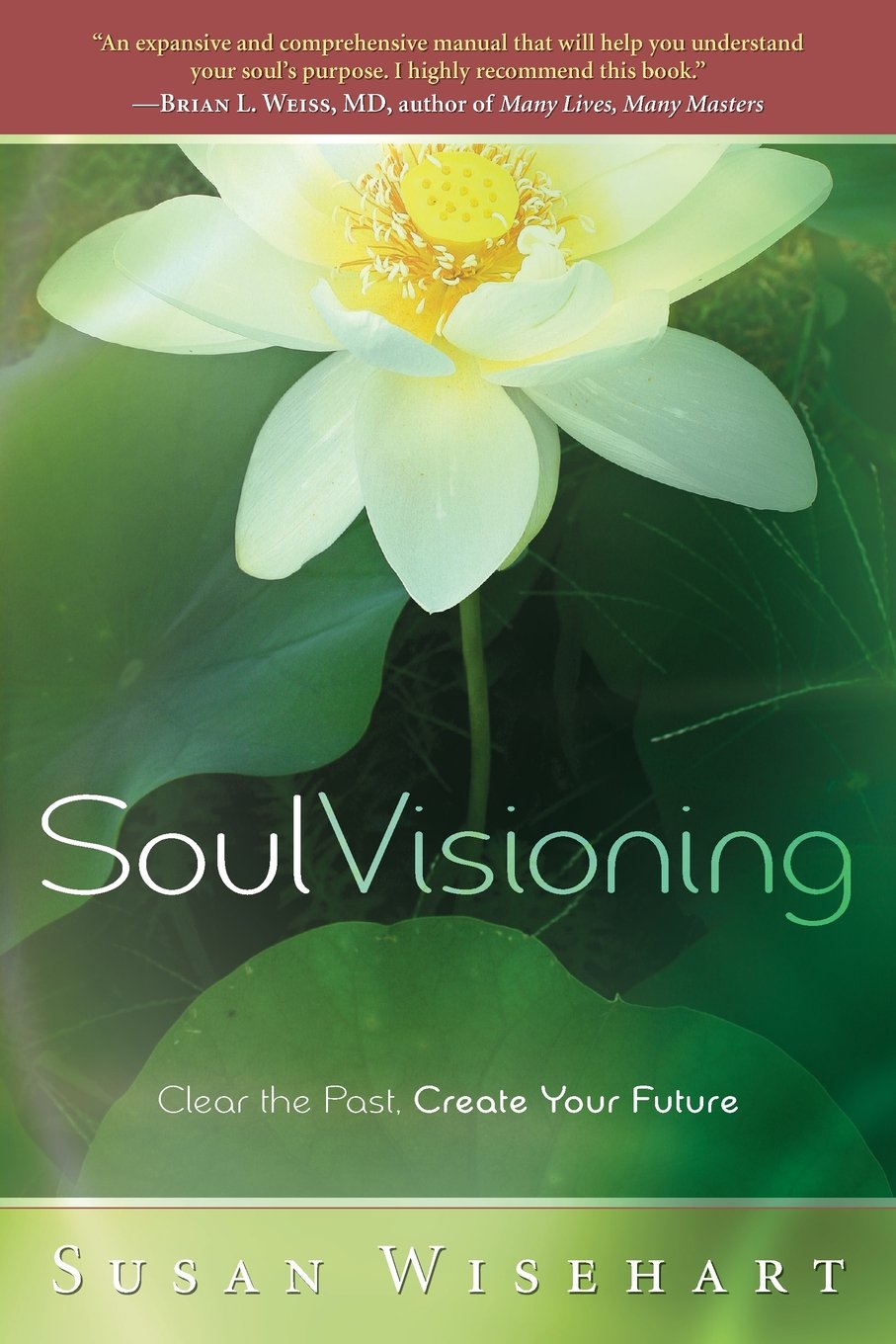 Soul Visioning: Clear the Past, Create Your Future,Used