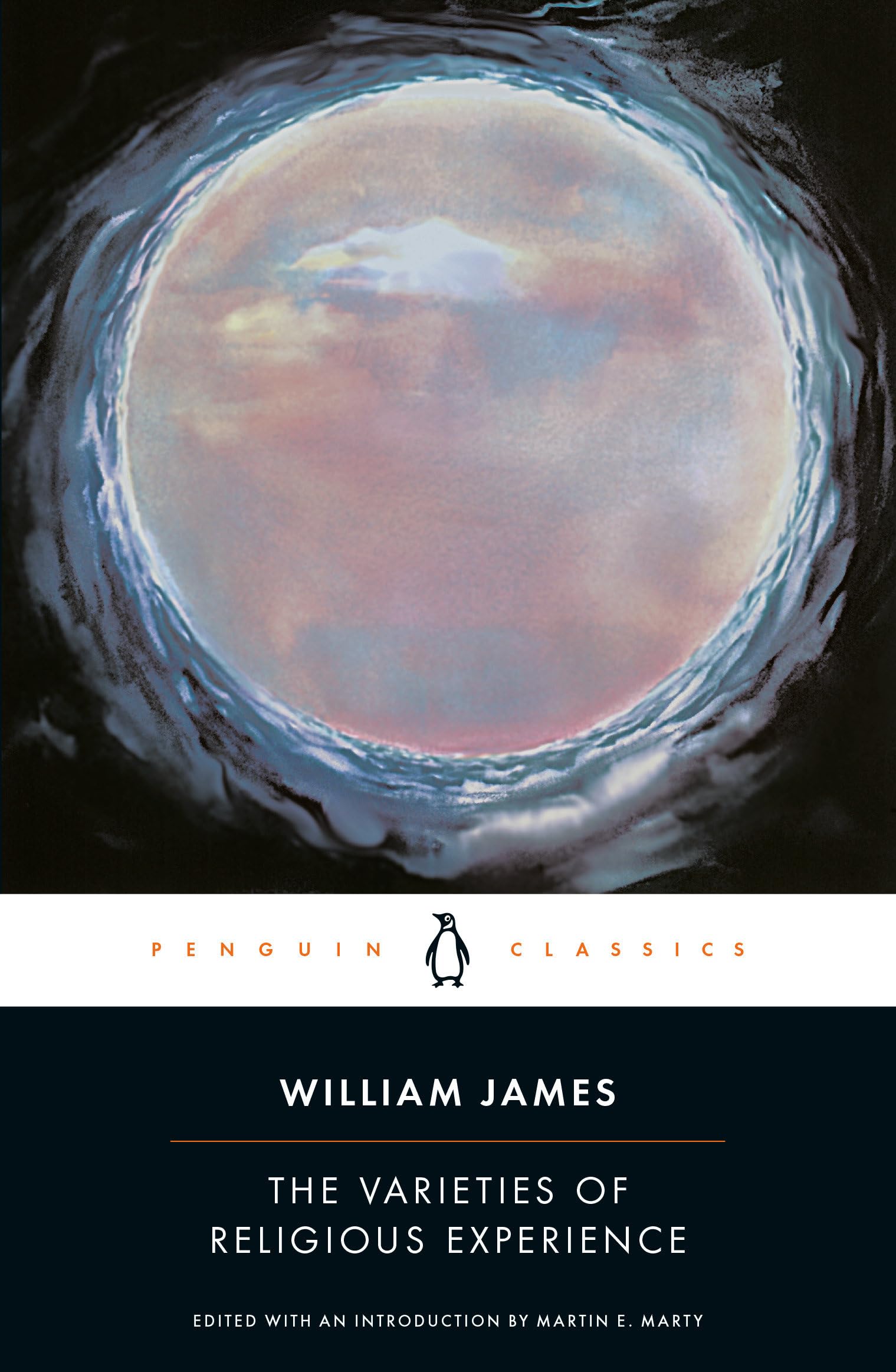 The Varieties Of Religious Experience: A Study In Human Nature (Penguin American Library),Used