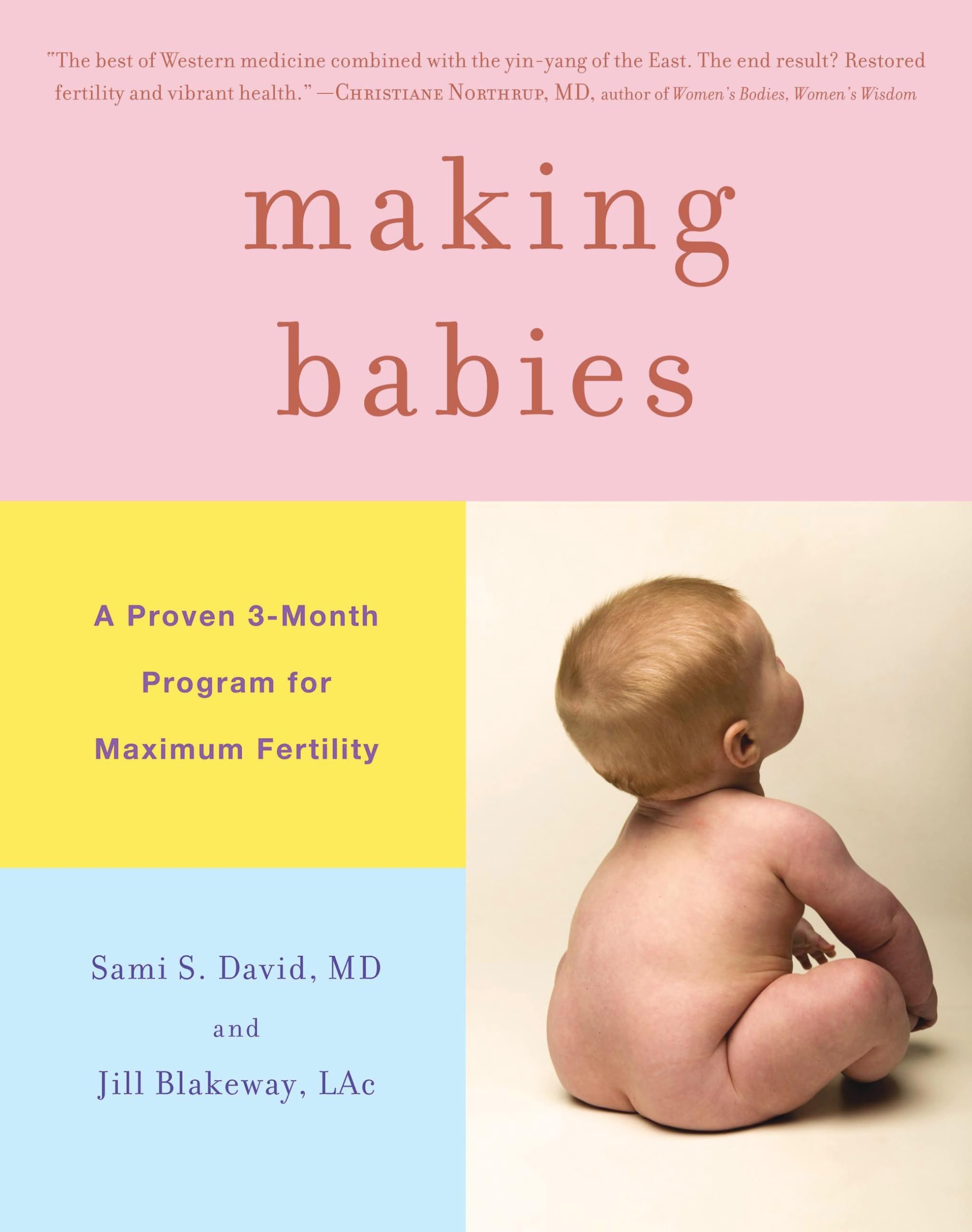 Making Babies: A Proven 3Month Program For Maximum Fertility
