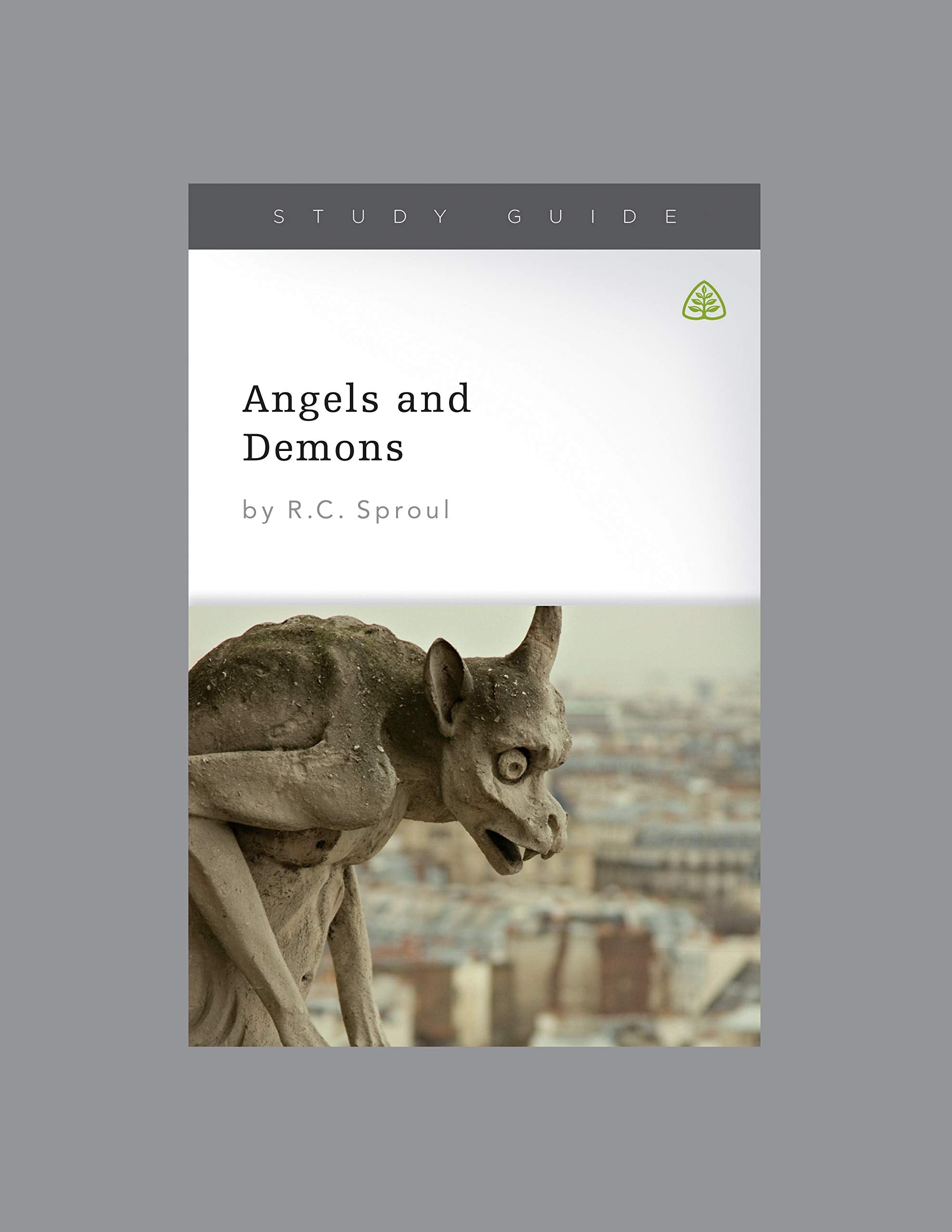 Angels and Demons, Teaching Series Study Guide,New
