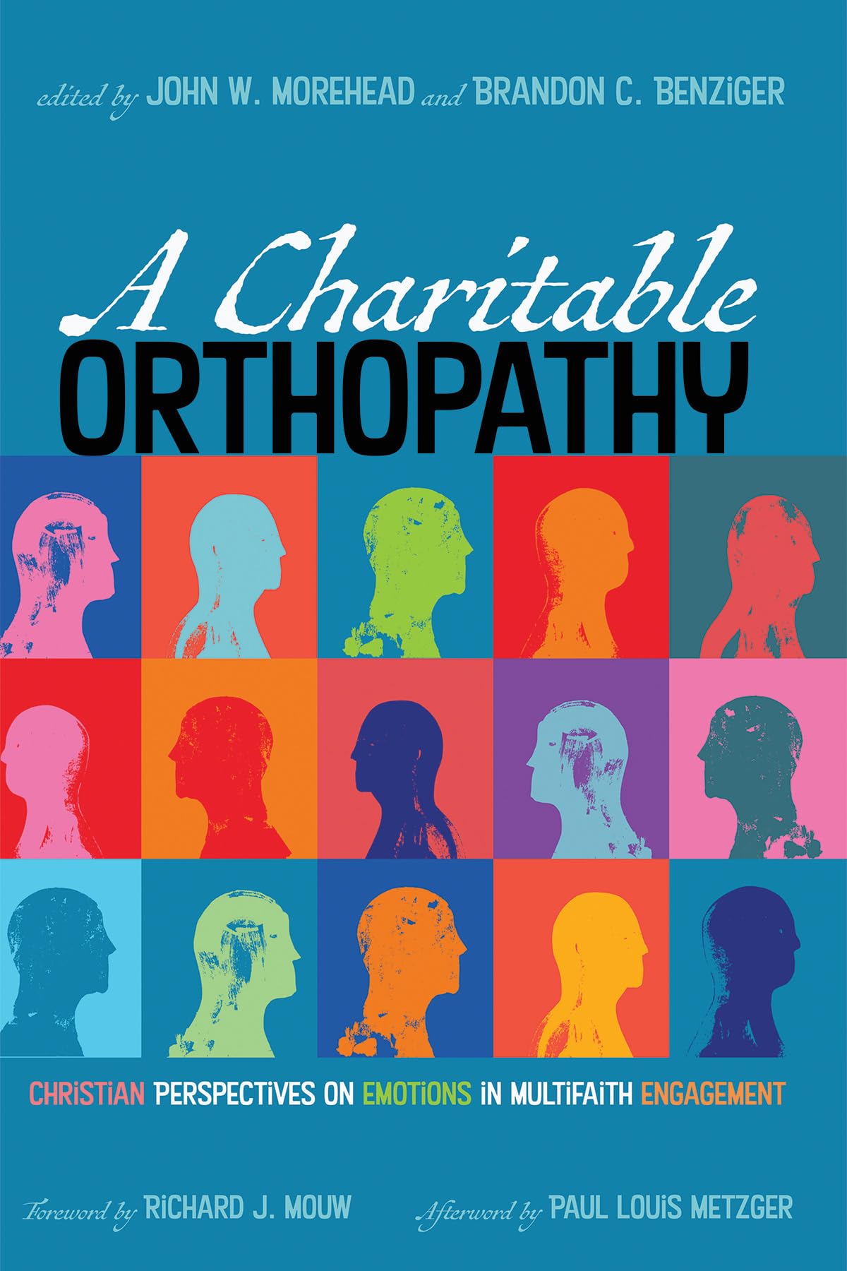 A Charitable Orthopathy: Christian Perspectives on Emotions in Multifaith Engagement,Used