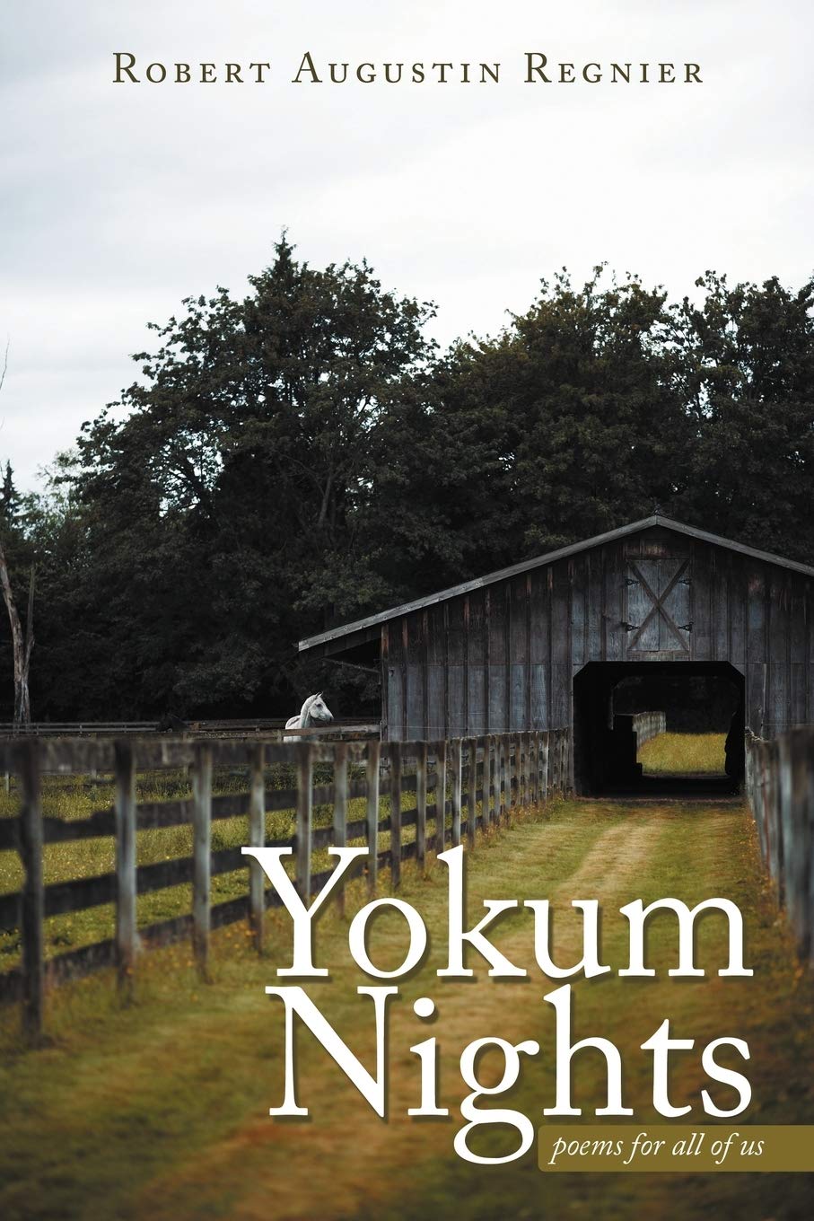 Yokum Nights: Poems For All Of Us,Used