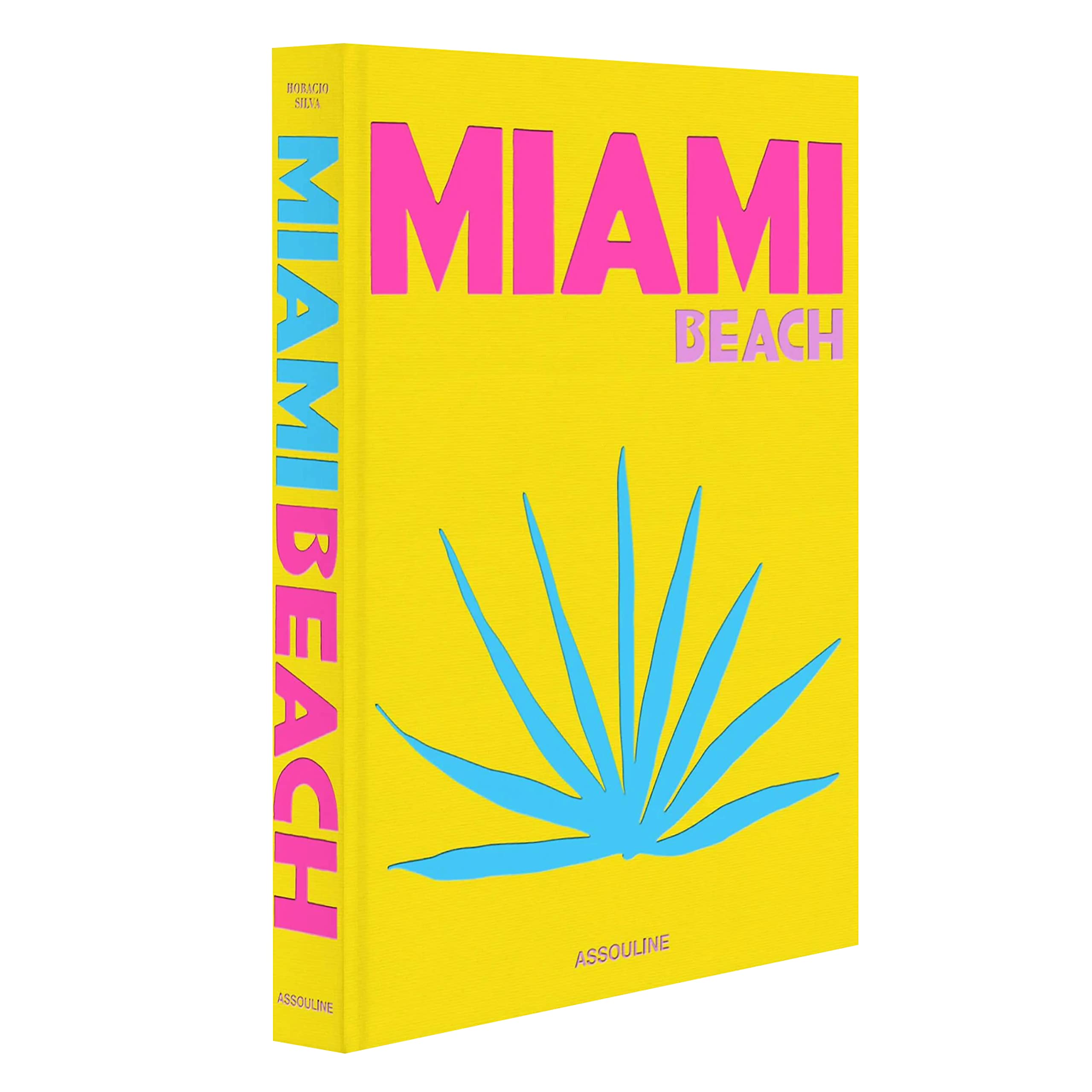 Miami Beach  Assouline Coffee Table Book