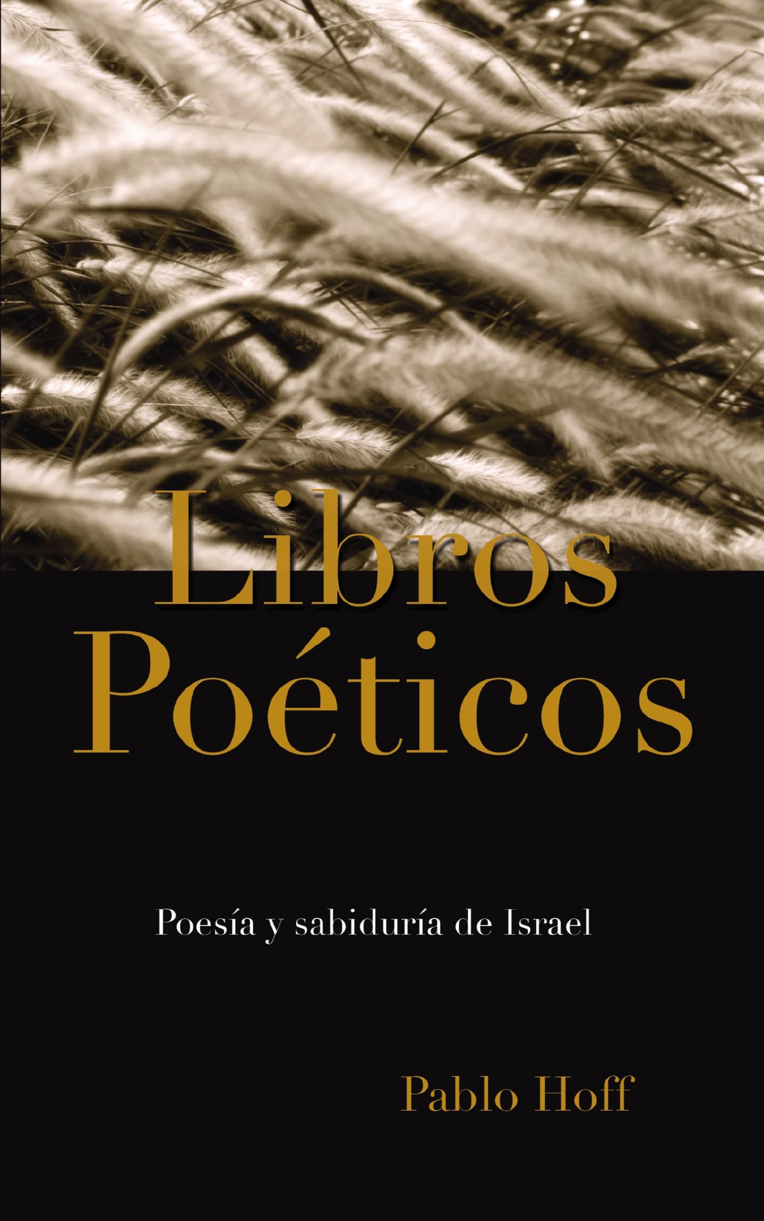 Libros Poticos, Los,New