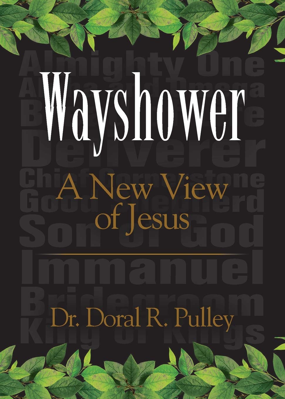 Wayshower: A New View of Jesus,Used