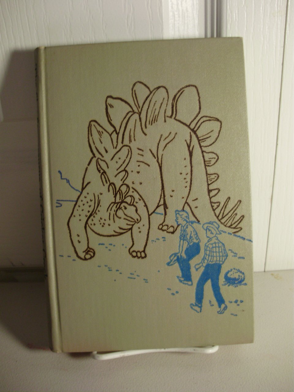 The Shy Stegosaurus of Cricket Creek,Used