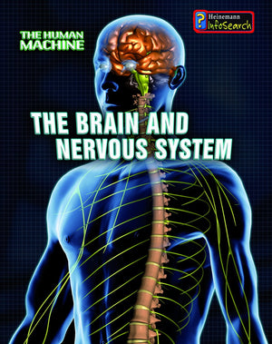 The Brain and Nervous System (The Human Machine),Used