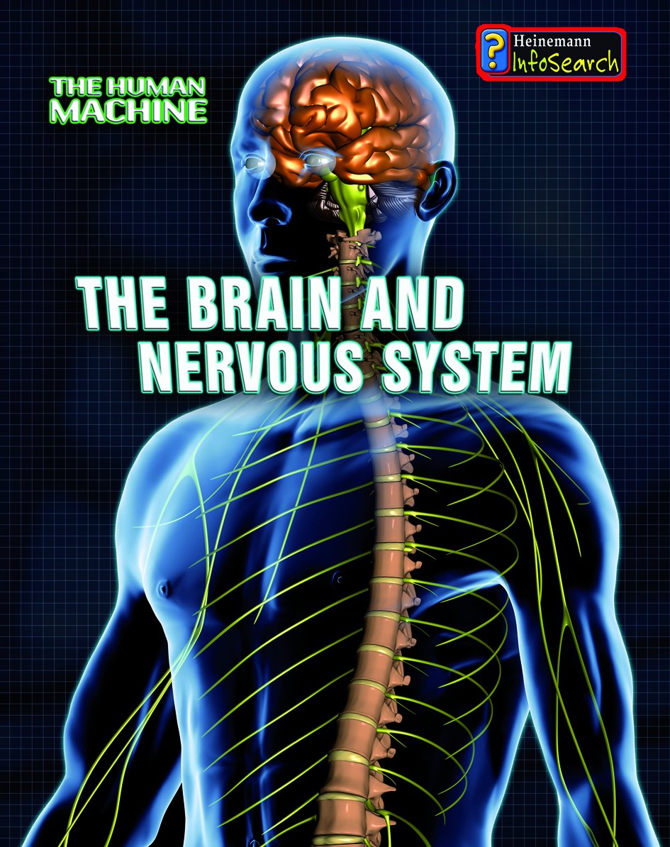 The Brain and Nervous System (The Human Machine),Used
