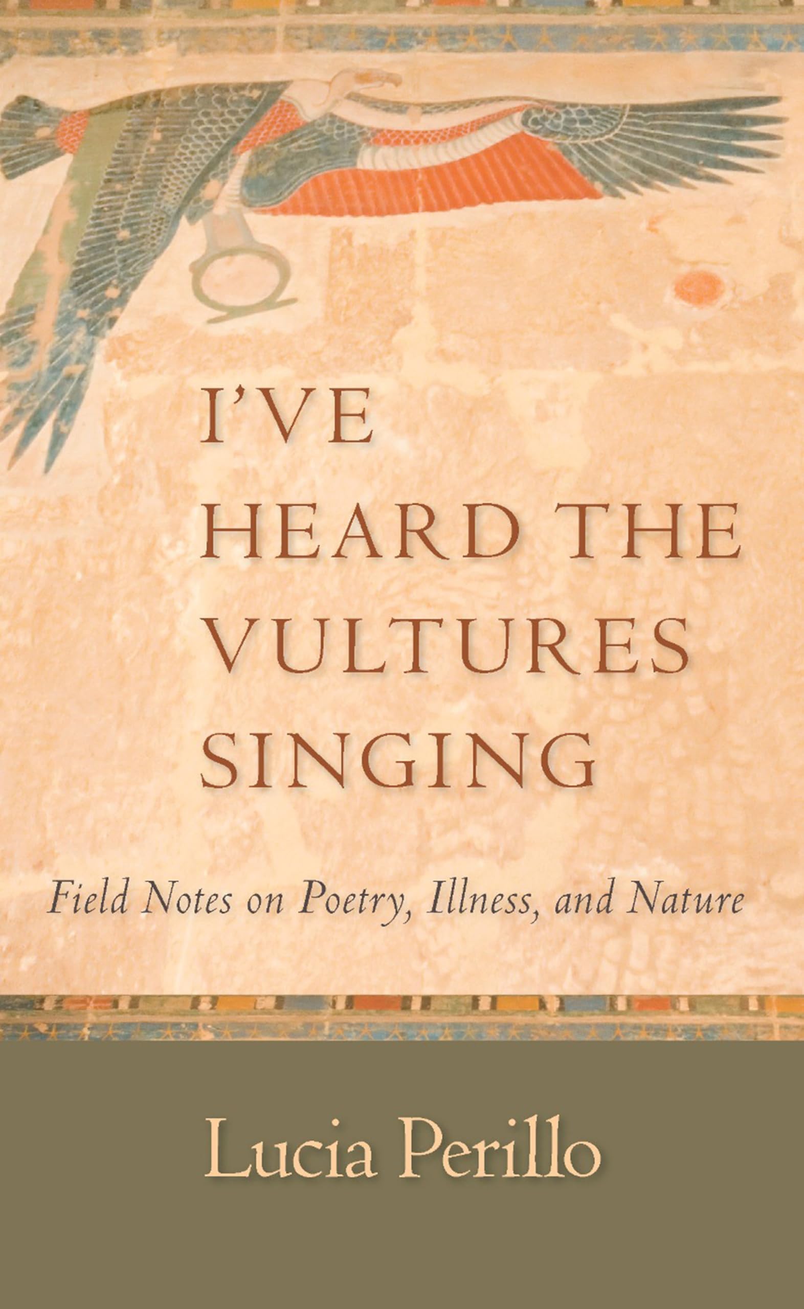I'Ve Heard The Vultures Singing: Field Notes On Poetry, Illness, And Nature