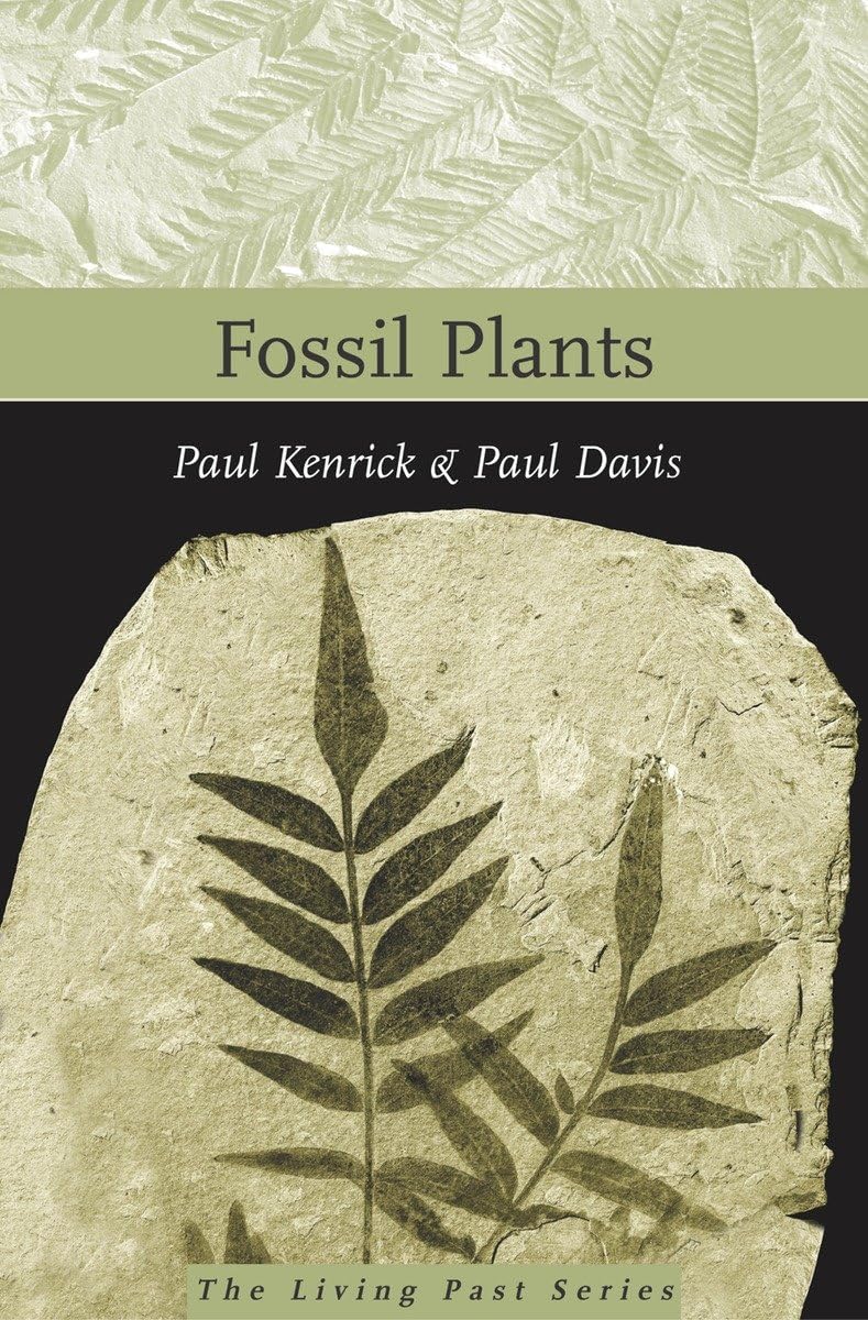 Fossil Plants,Used
