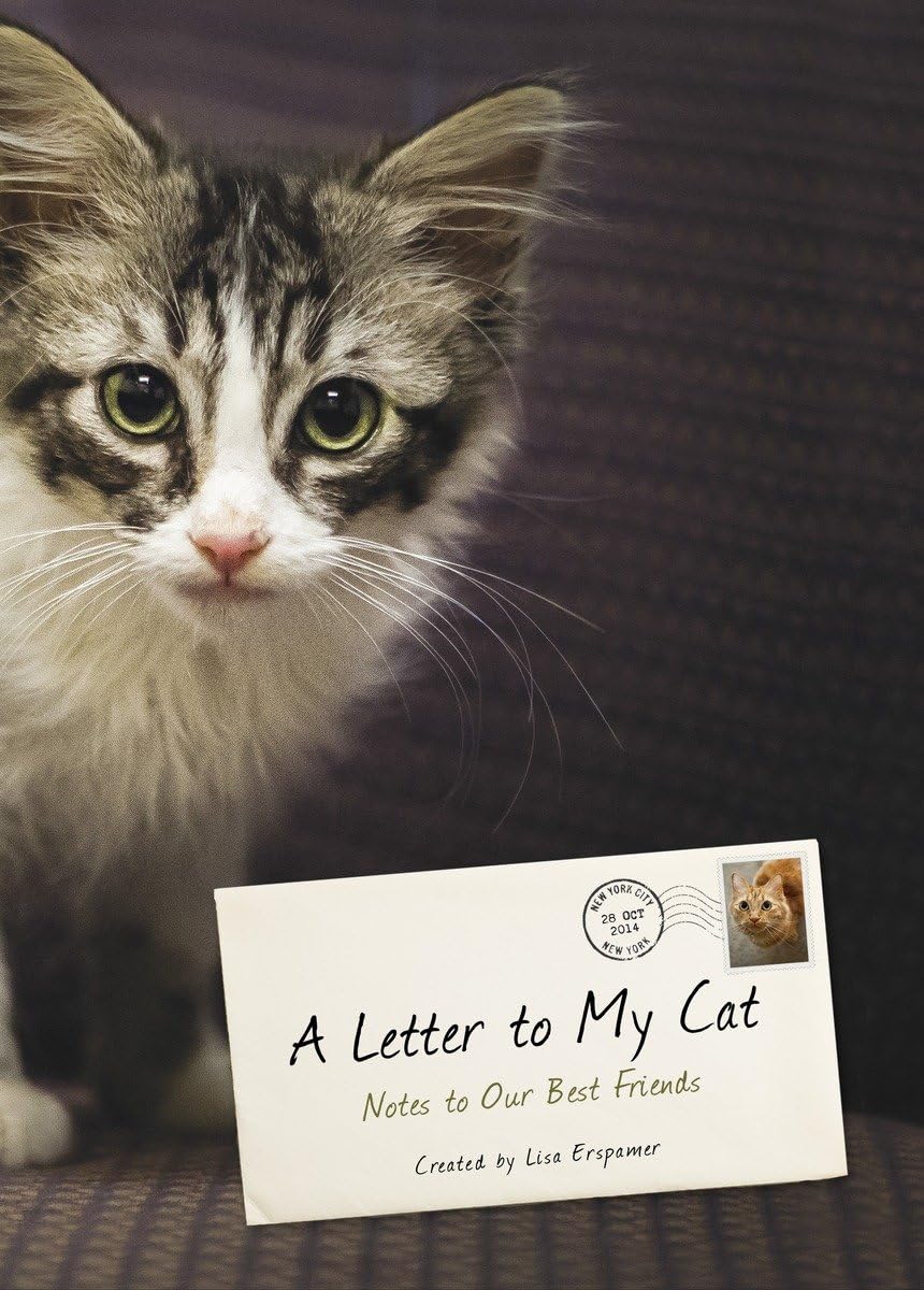 A Letter To My Cat: Notes To Our Best Friends,Used