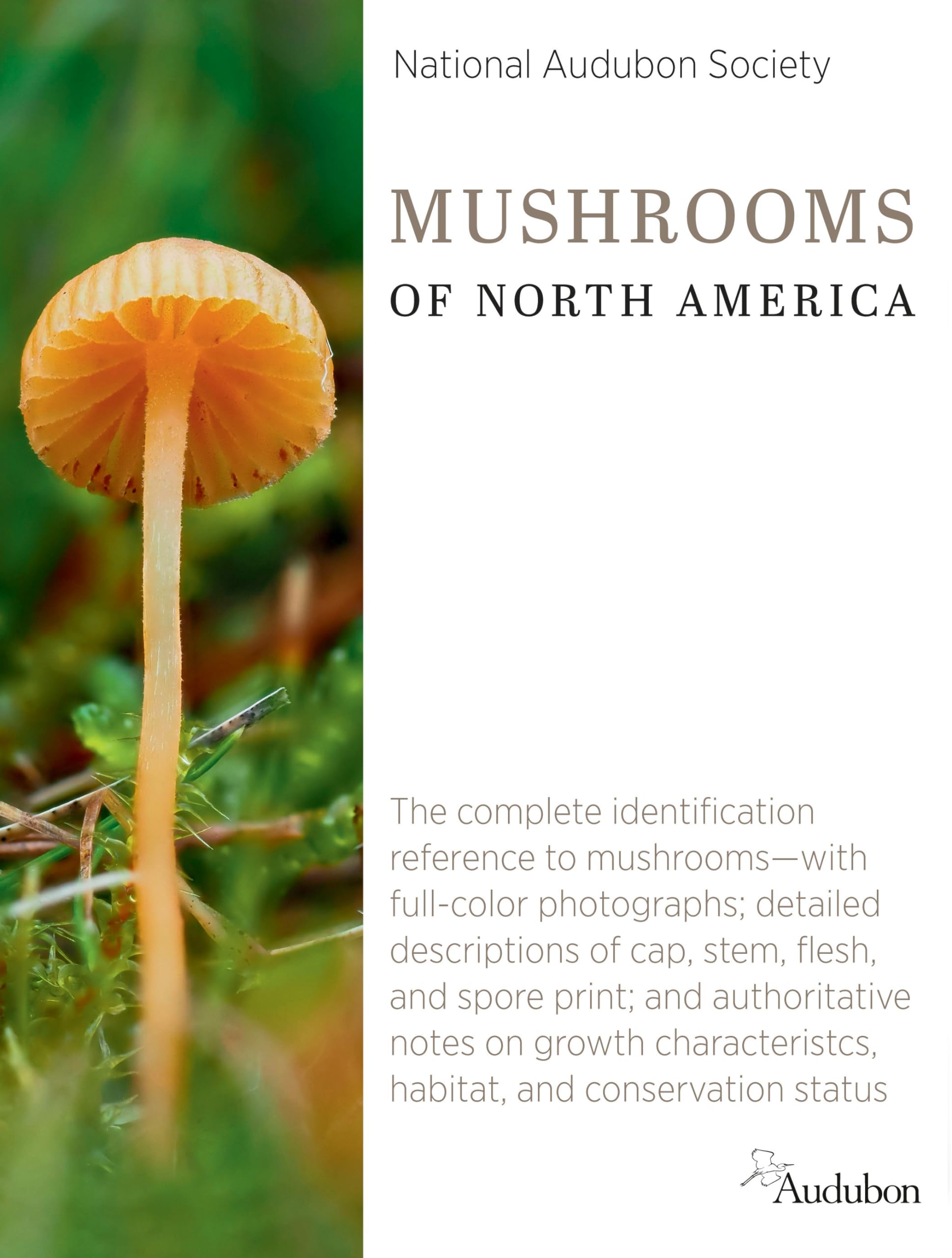 National Audubon Society Mushrooms Of North America (National Audubon Society Complete Guides),Used