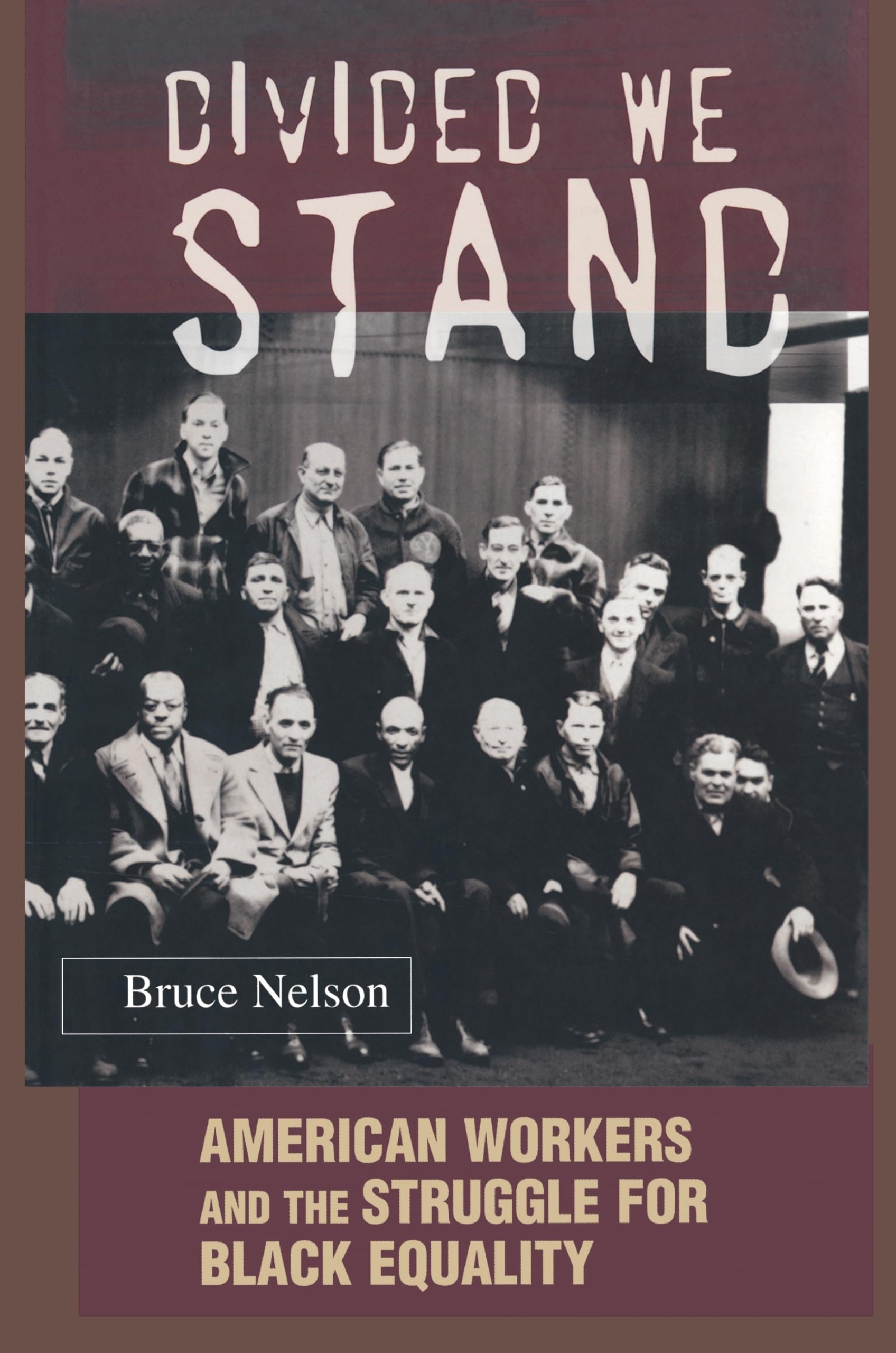 Divided We Stand: American Workers and the Struggle for Black Equality (Politics and Society in Modern America),Used