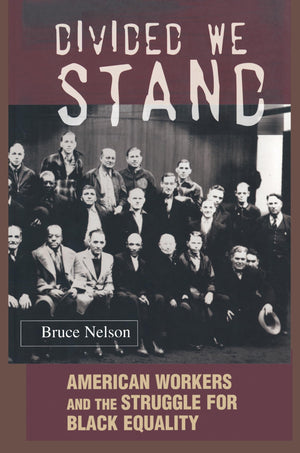 Divided We Stand: American Workers and the Struggle for Black Equality (Politics and Society in Modern America),Used