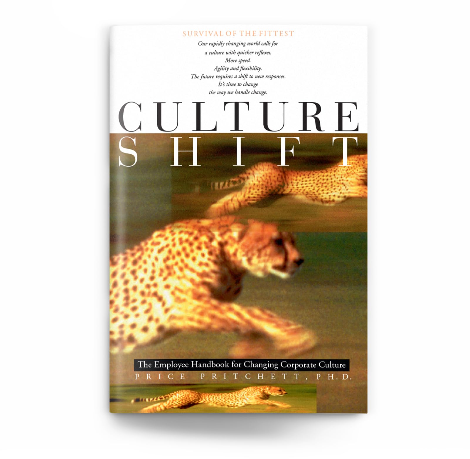 Culture Shift: The Employee Handbook For Changing Corporate Culture,New