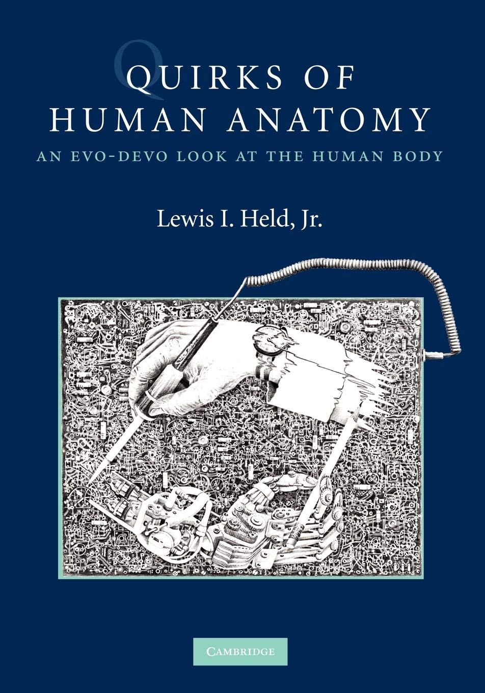Quirks Of Human Anatomy: An Evodevo Look At The Human Body,Used