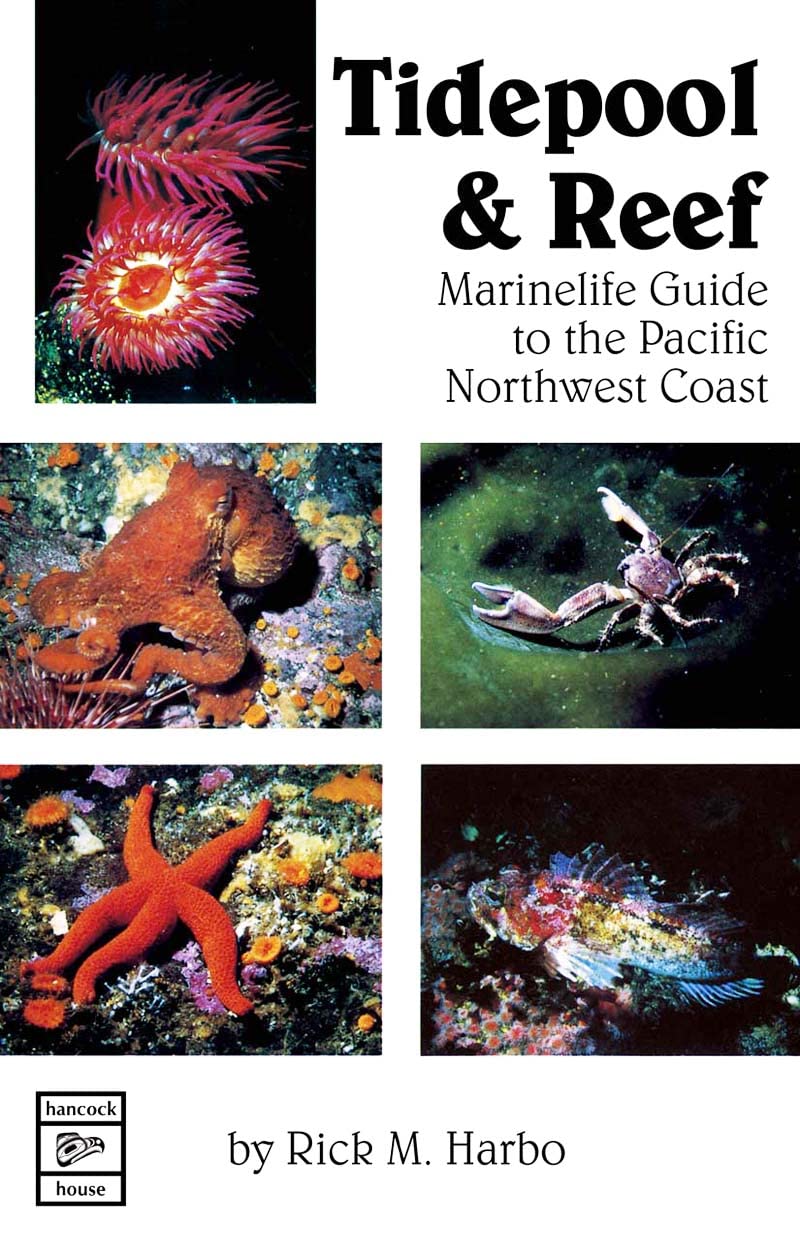 Tidepool & Reef: Marinelife Guide to the Pacific Northwest Coast,Used