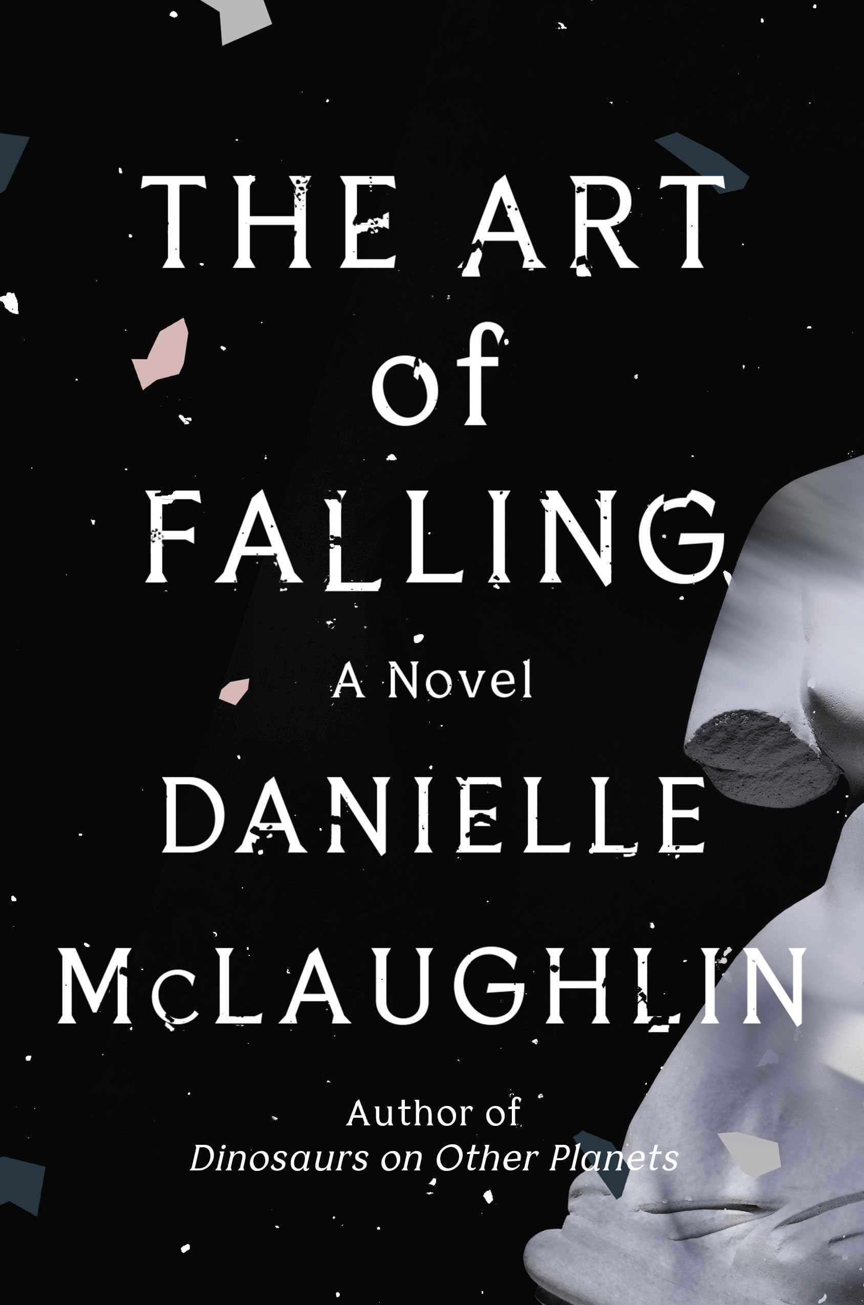 The Art Of Falling: A Novel,Used