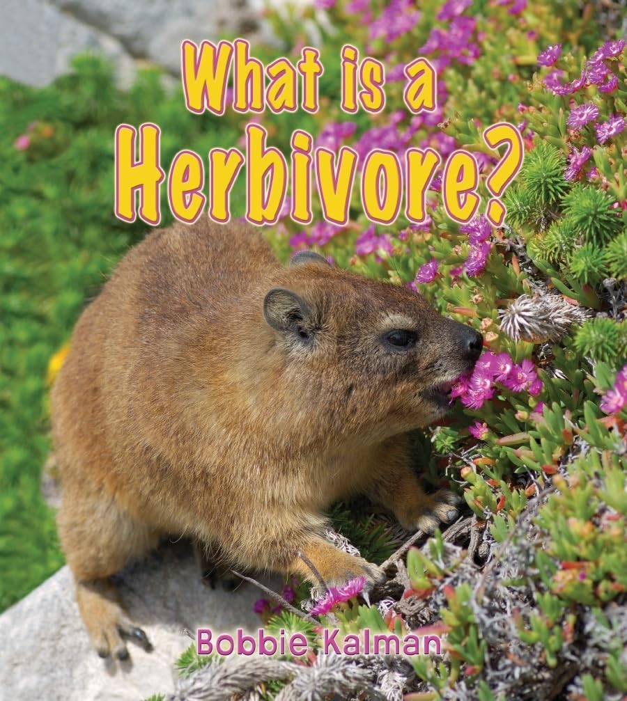 What Is a Herbivore? (Big Science Ideas),Used