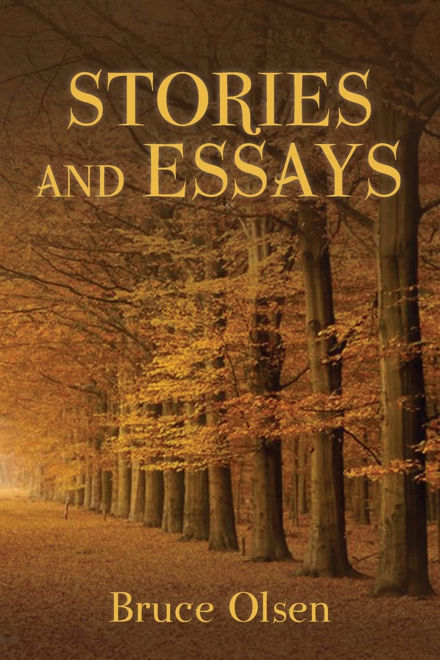 Stories And Essays,Used