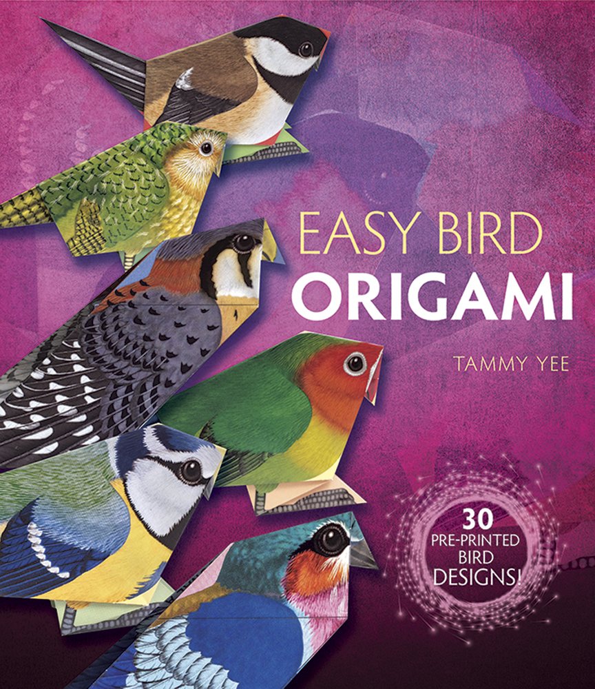 Easy Bird Origami: 30 PrePrinted Bird Models (Dover Origami Papercraft),Used