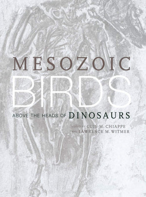 Mesozoic Birds: Above the Heads of Dinosaurs,Used