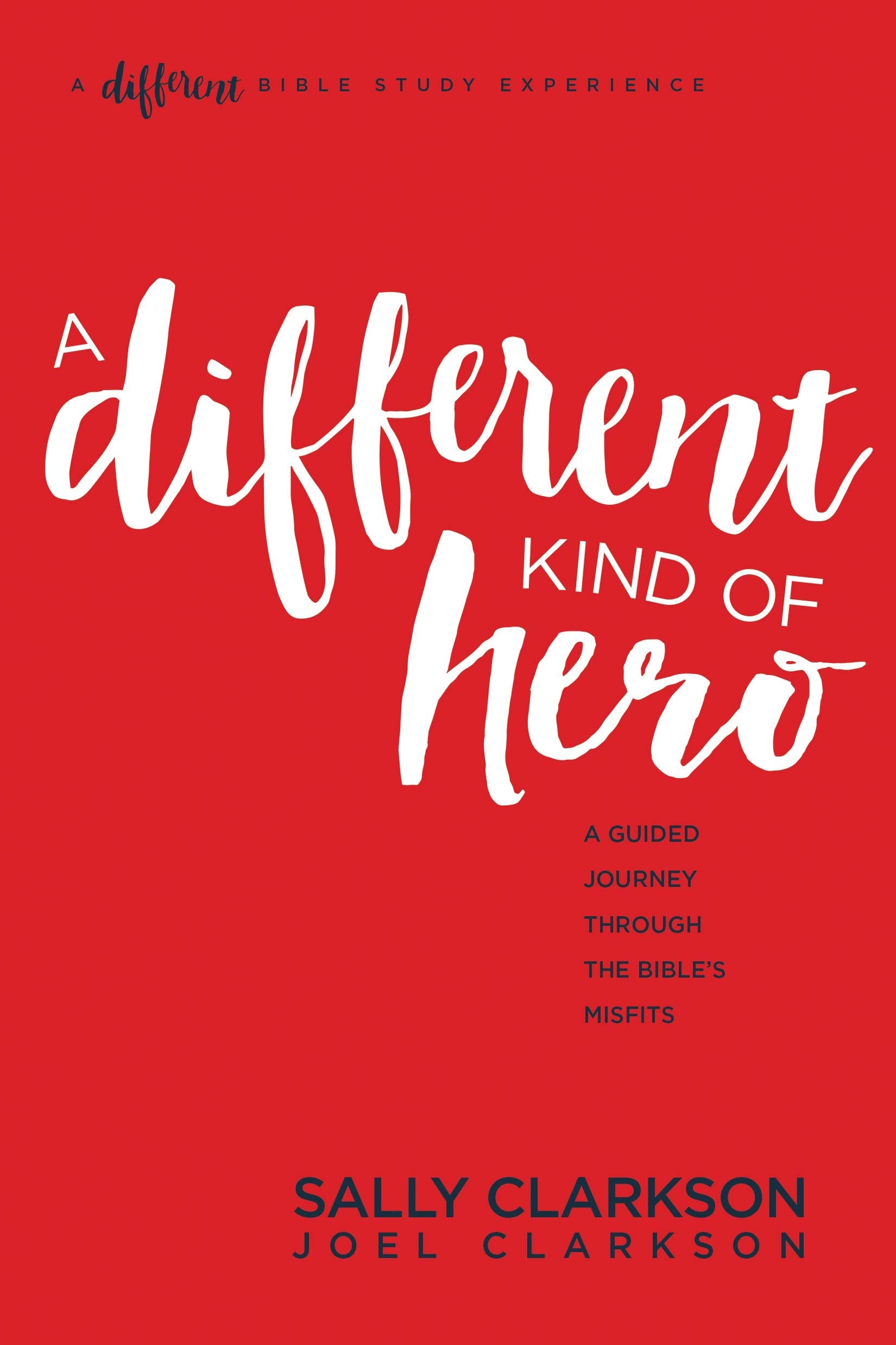 A Different Kind of Hero: A Guided Journey through the Bibles Misfits,Used