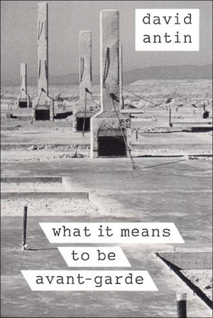 What It Means to Be AvantGarde,Used