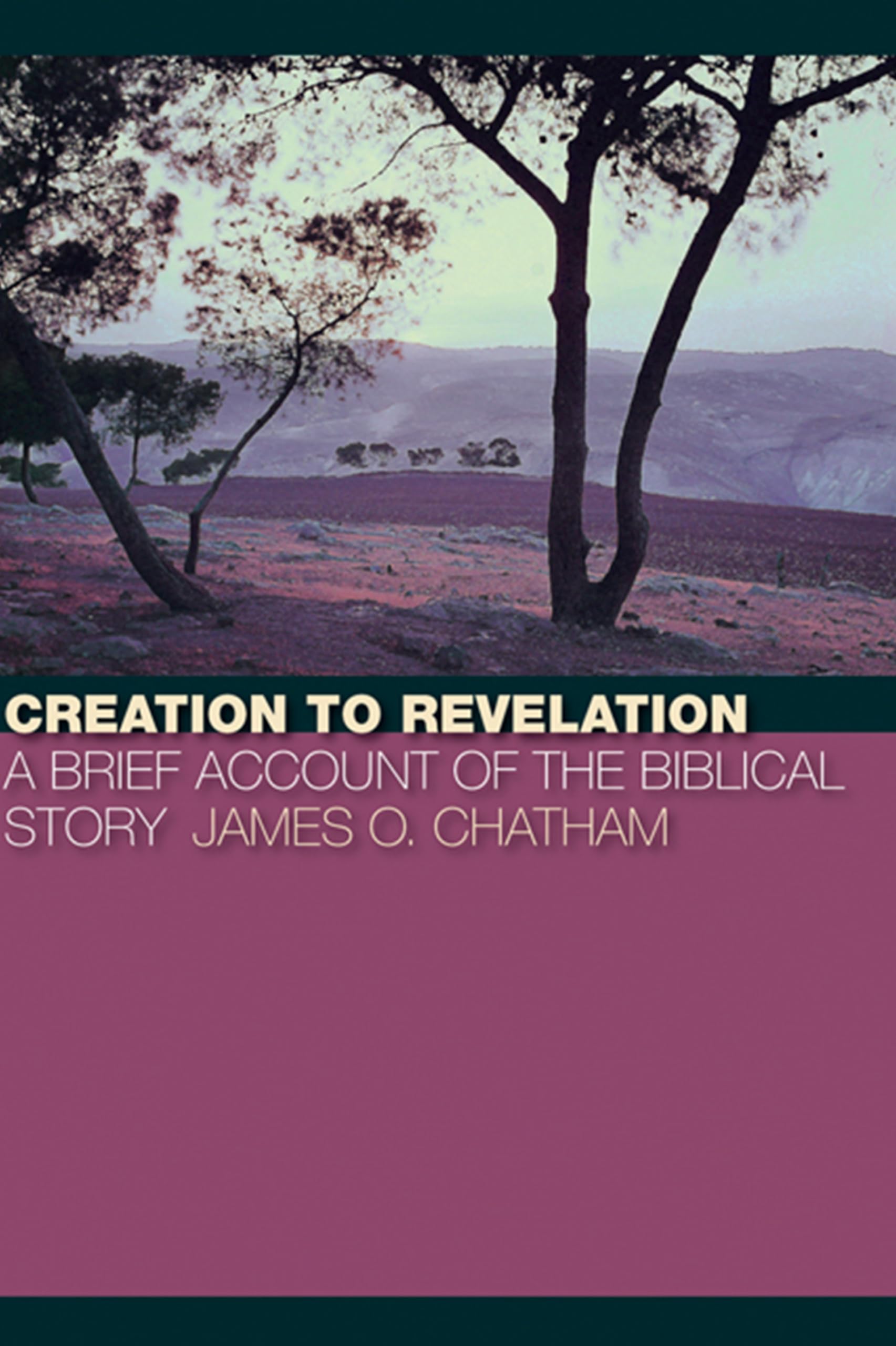 Creation to Revelation: A Brief Account of the Biblical Story,Used