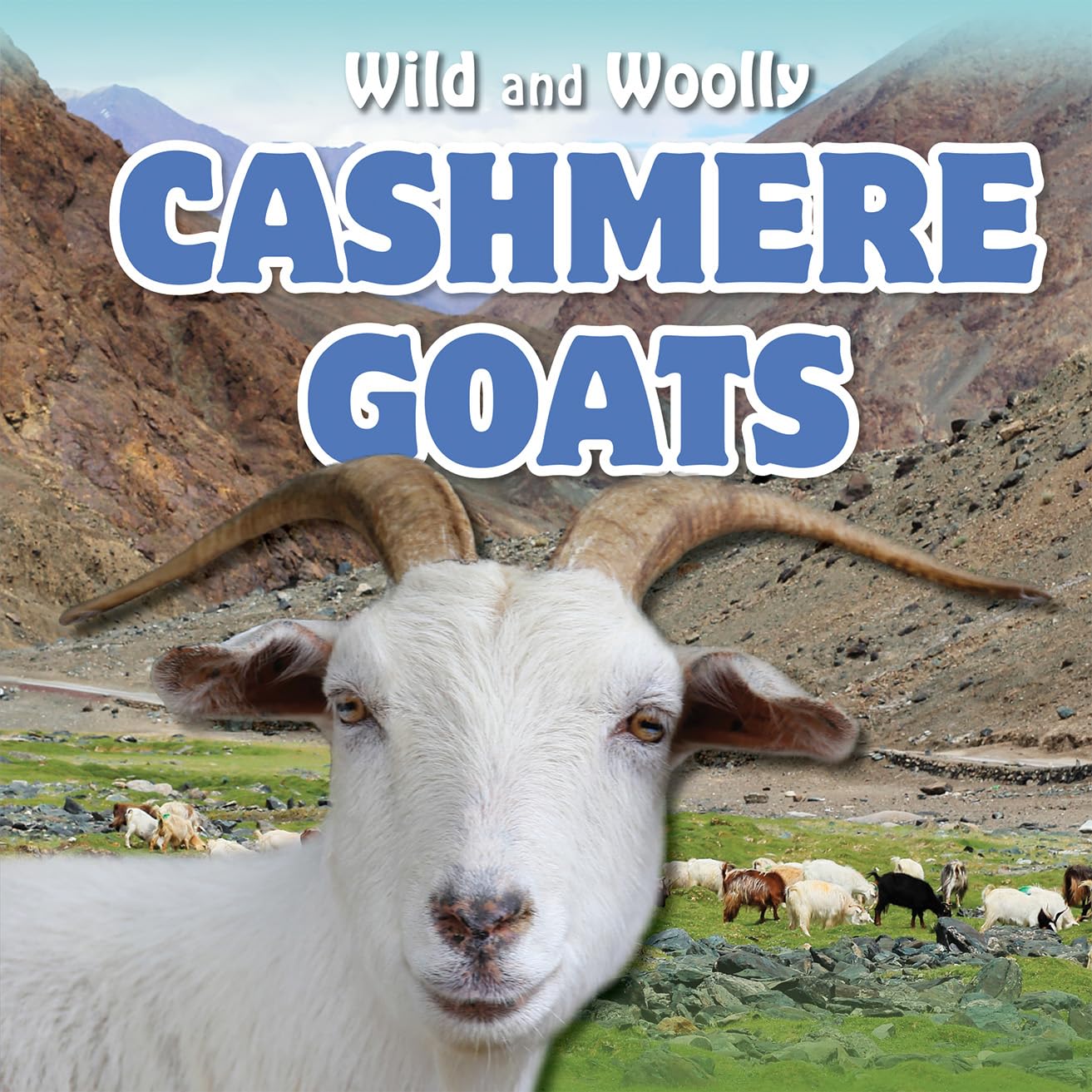 Cashmere Goats (Wild and Woolly),Used