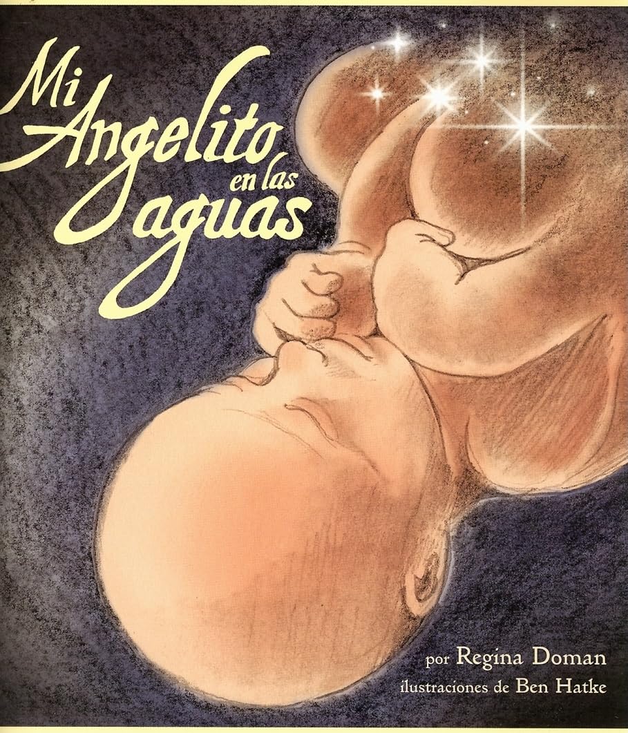 Mi Angelito En Las Aguas (Spanish Edition),Used