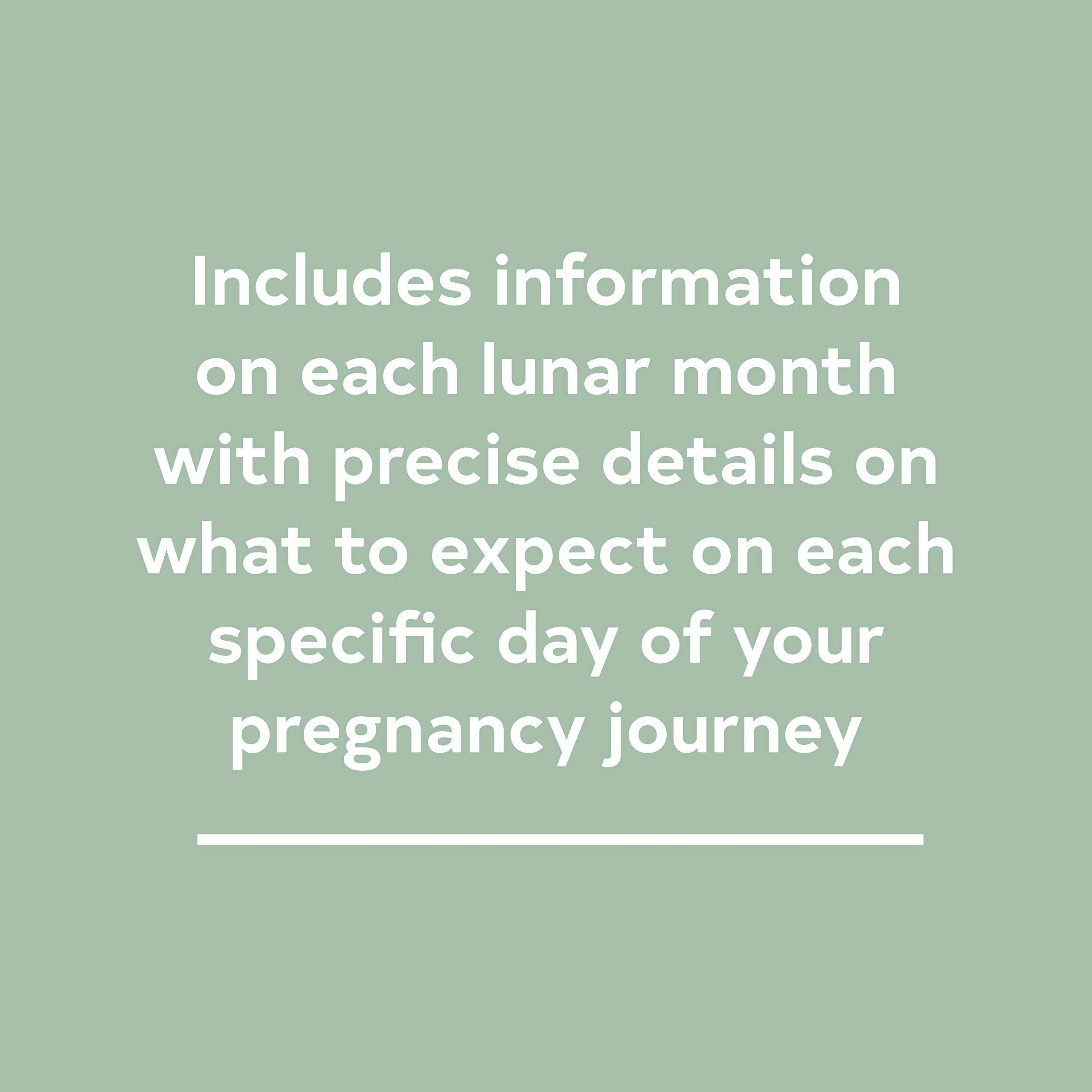 The Pregnancy Journal, 4th Edition: A DayToday Guide to a Healthy and Happy Pregnancy (Pregnancy Books, Pregnancy Journal, Gift,Used