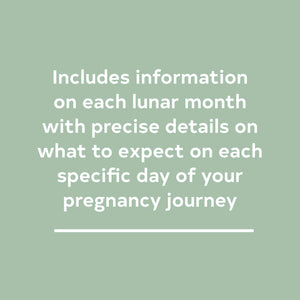 The Pregnancy Journal, 4th Edition: A DayToday Guide to a Healthy and Happy Pregnancy (Pregnancy Books, Pregnancy Journal, Gift,Used