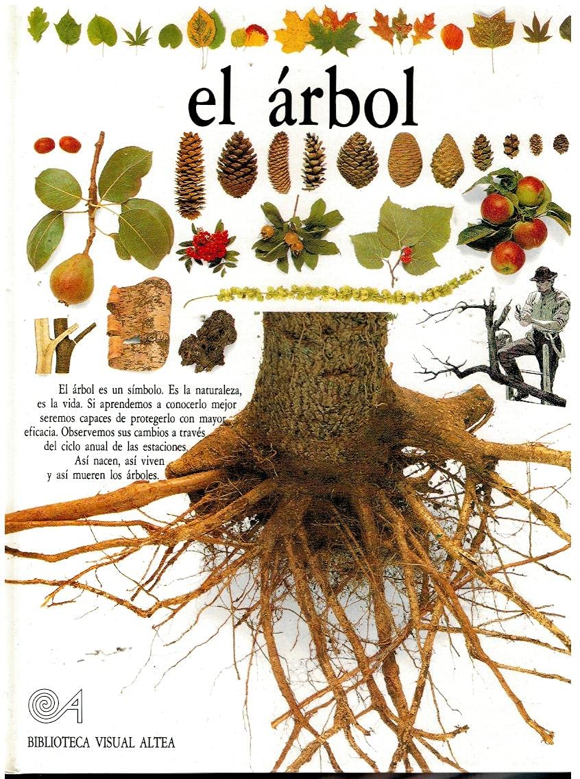 El Arbol/Trees (Eyewitness Series in Spanish) (Spanish Edition),Used