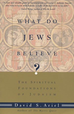 What Do Jews Believe?: The Spiritual Foundations of Judaism,Used