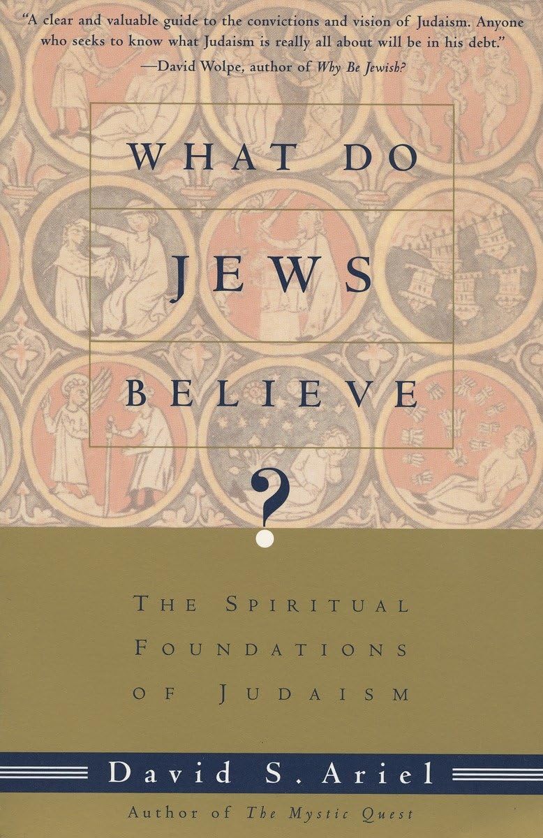 What Do Jews Believe?: The Spiritual Foundations of Judaism,Used
