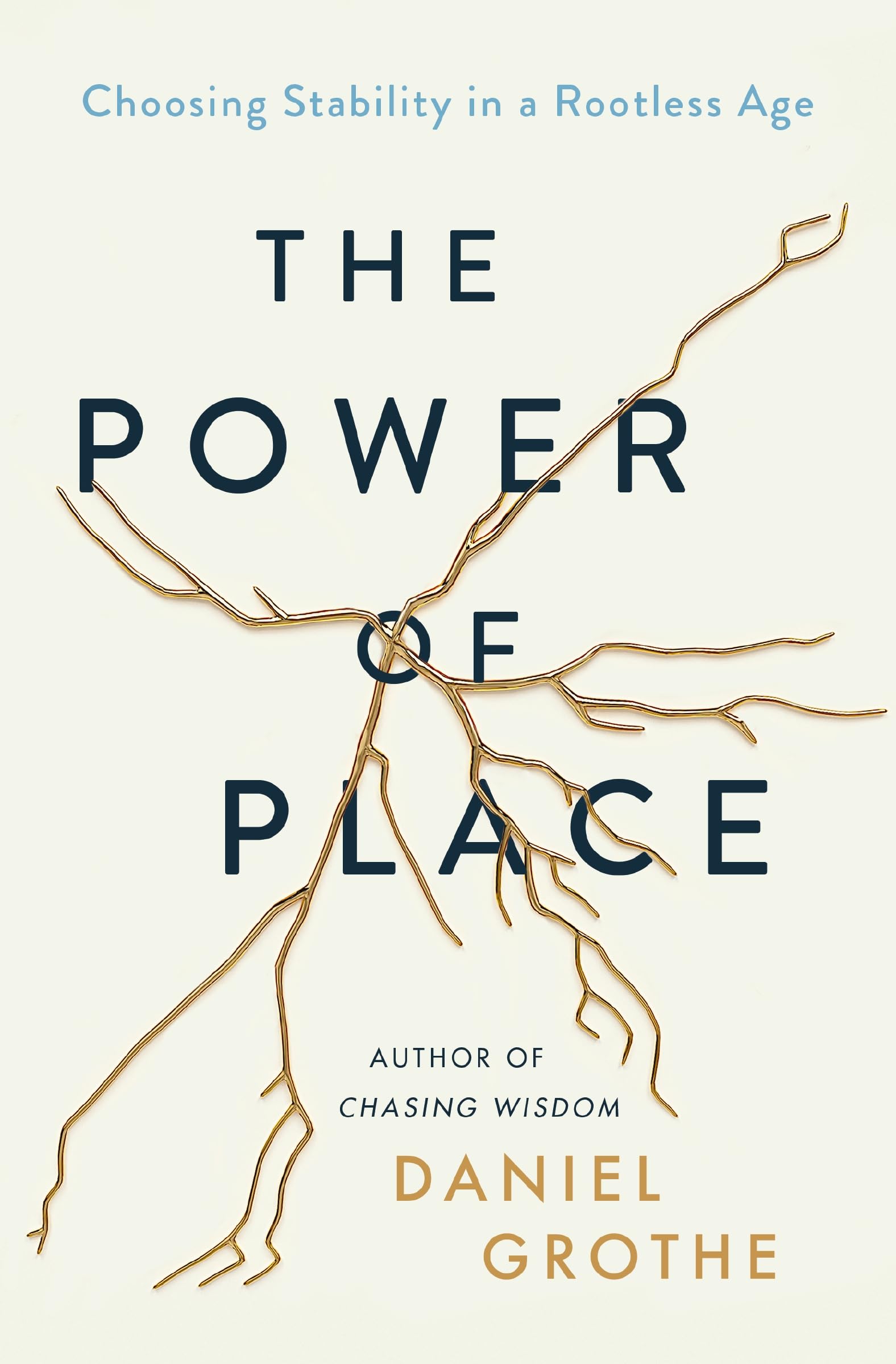 The Power of Place: Choosing Stability in a Rootless Age,Used
