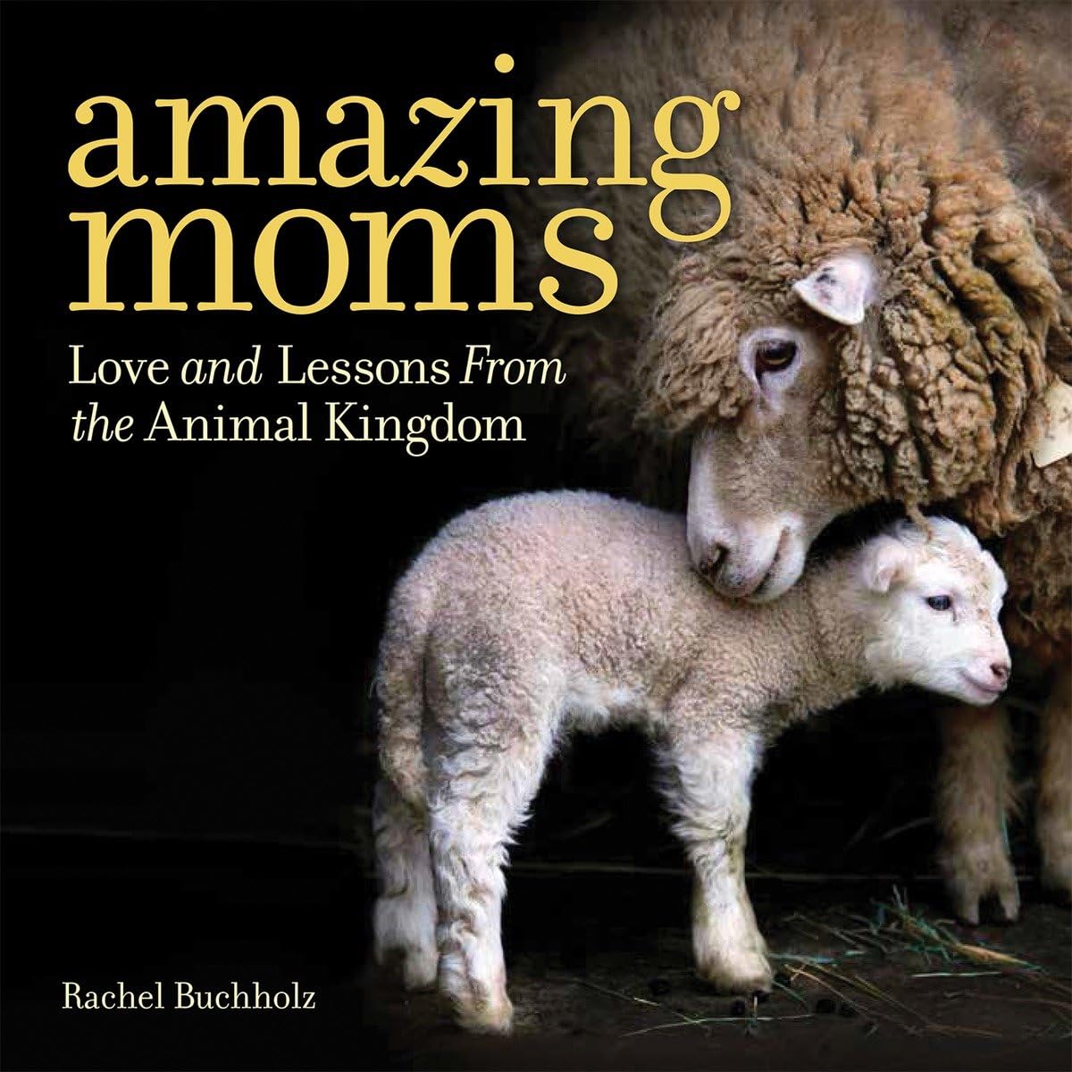 Amazing Moms: Love And Lessons From The Animal Kingdom,Used
