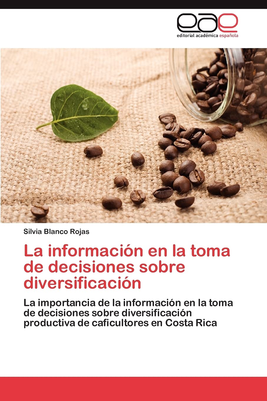 La informacin en la toma de decisiones sobre diversificacin: La importancia de la informacin en la toma de decisiones sobr,Used