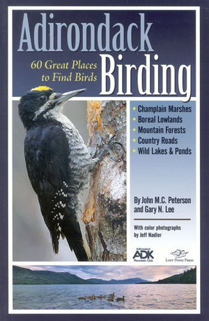 Adirondack Birding,Used