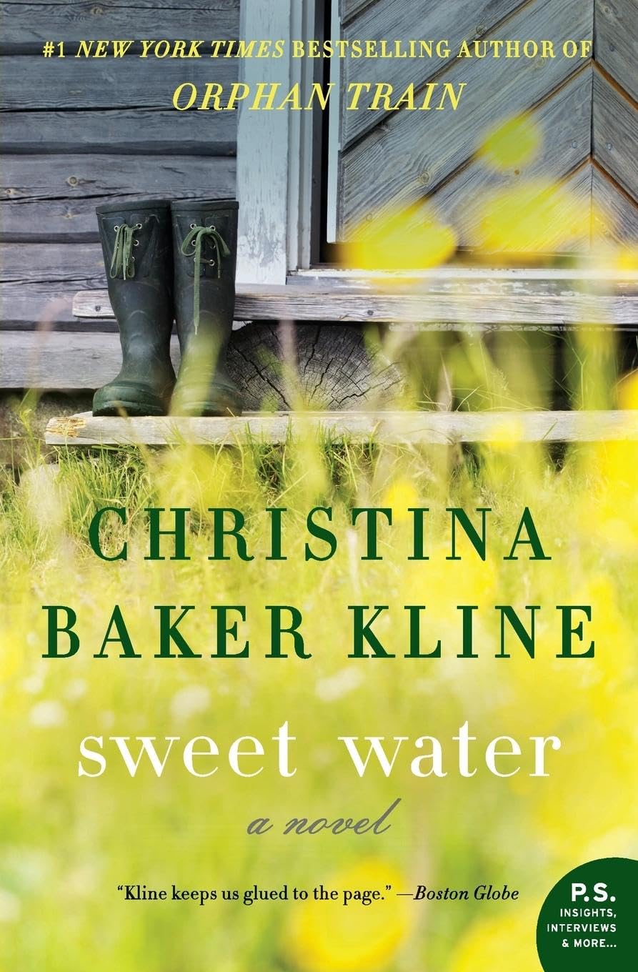 Sweet Water: A Novel (P.S.),Used
