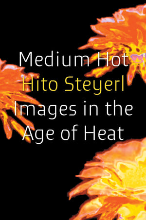 Medium Hot: Images In The Age Of Heat
