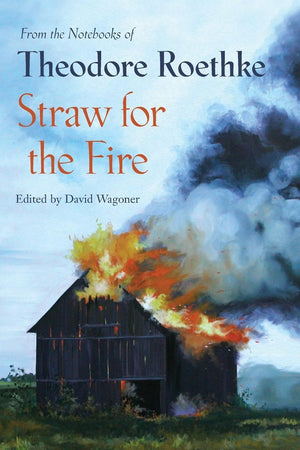 Straw for the Fire: From the Notebooks of Theodore Roethke,New