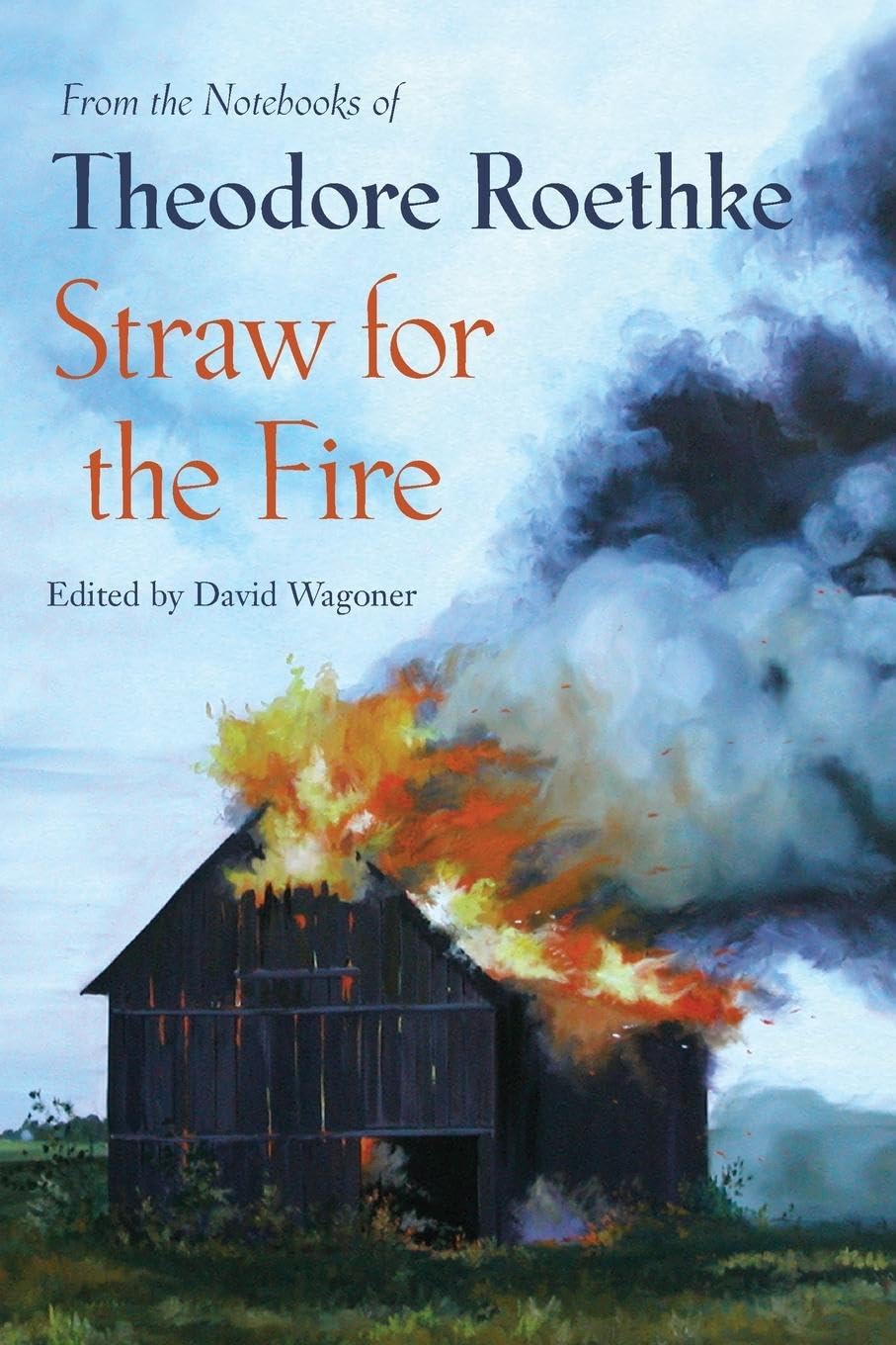 Straw for the Fire: From the Notebooks of Theodore Roethke,Used