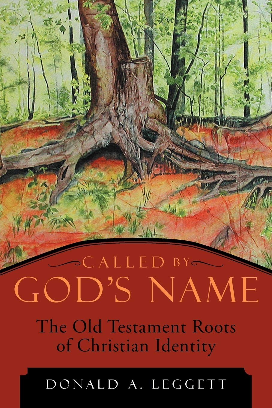Called by God's Name: The Old Testament Roots of Christian Identity,New