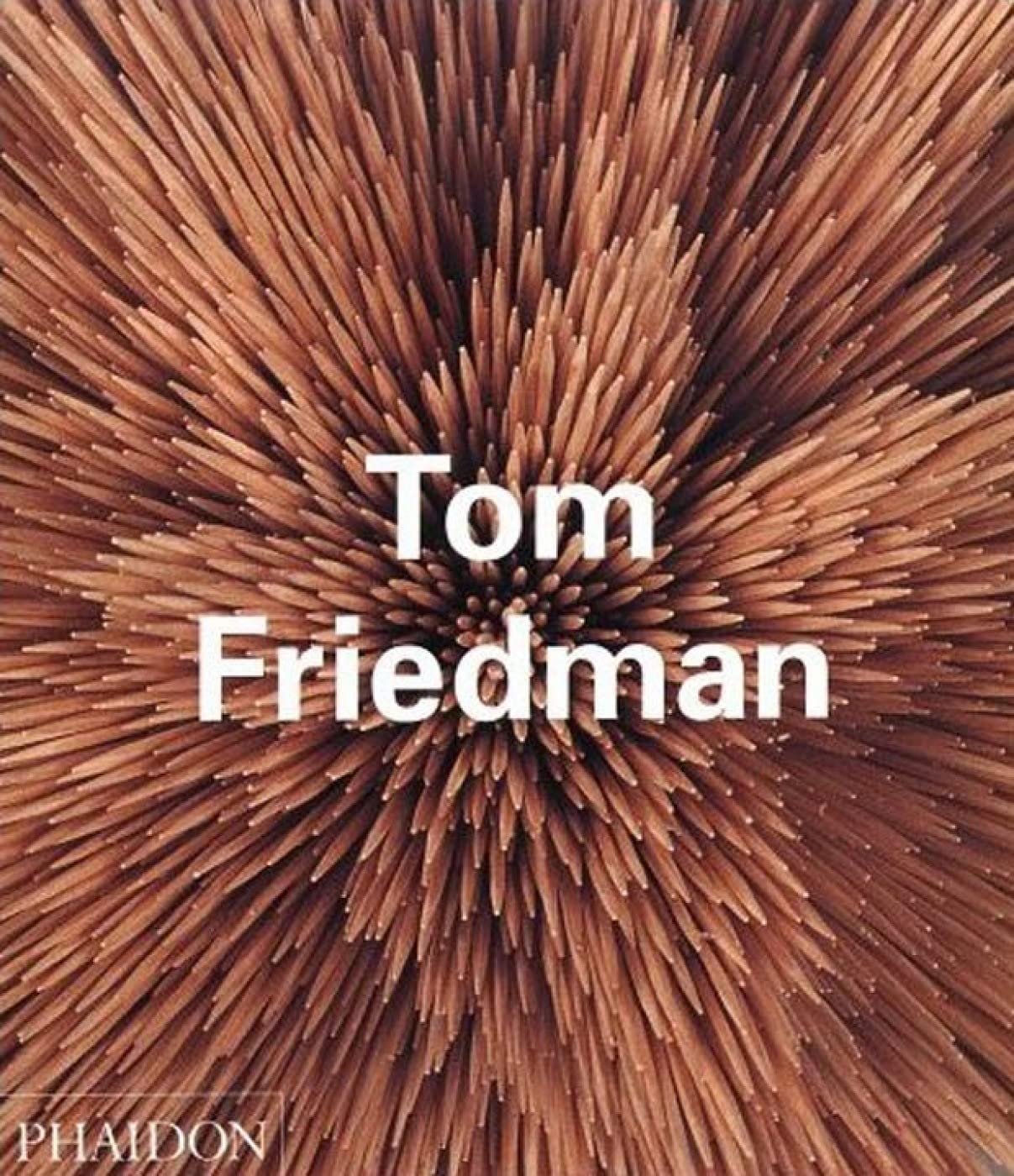 Tom Friedman (Phaidon Contemporary Artists Series),Used
